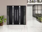 Front Exterior Prehung Steel Double Doors / Deux 1755 Black Enamel / 2 Sidelight Exterior Windows / Stainless Inserts Single Modern Painted - Image 4