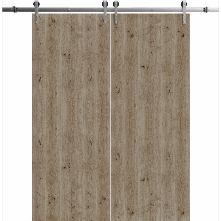 Modern Double Barn Door | BASIC 3001 Caramel Oak | 13FT Silver Rail Track Set | Solid Panel Interior Doors