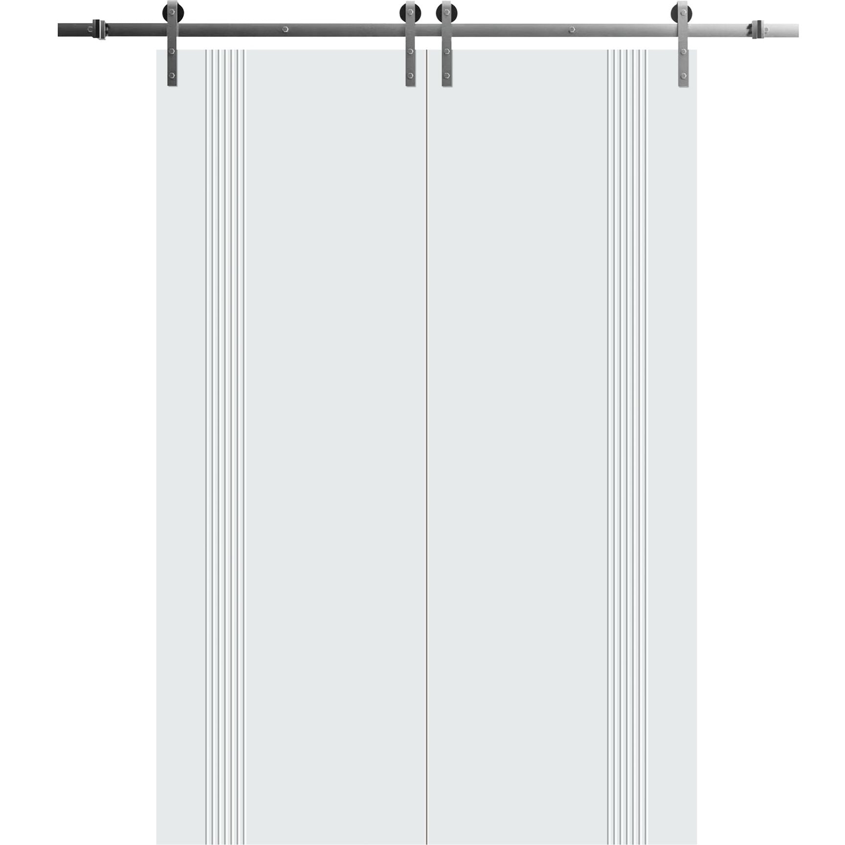 5_f56aac29-0764-4423-a341-b2af127bde80_qvj06vnecn5w9hnm Modern Double Barn Door | BASIC 0111 Arctic White | 13FT Silver Rail Track Set | Solid Panel Interior Doors - Image 1