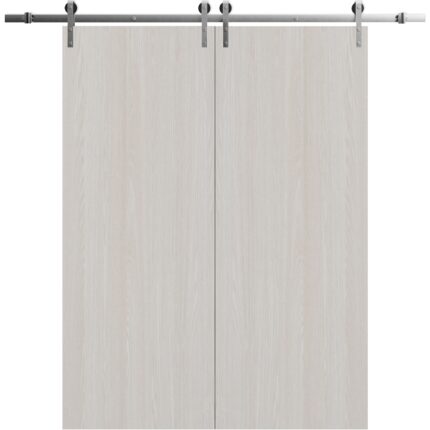 Modern Double Barn Door | BASIC 3001 Ash | 13FT Silver Rail Track Set | Solid Panel Interior Doors