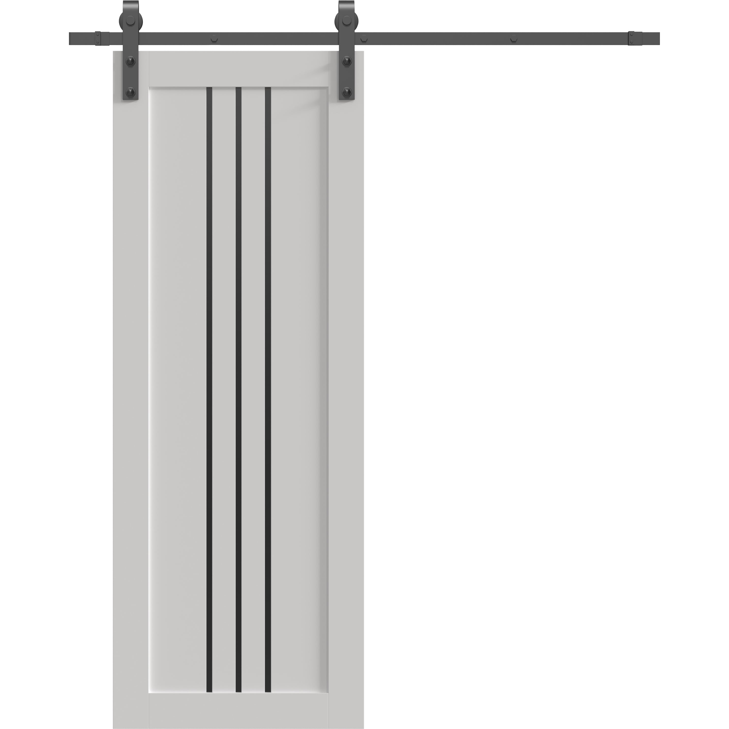 Barn Door | BASIC 4906 White with Black Glass | 6.6FT Rail Track ...